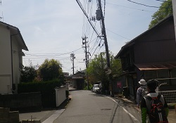 笠岡の道