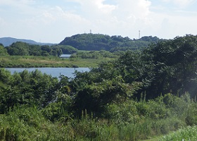 福岡城の遠景