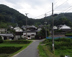 道林寺への道