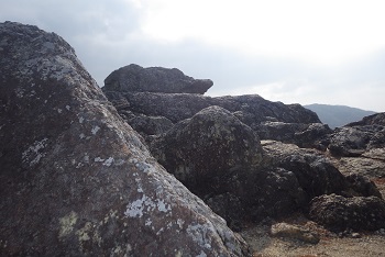亀に似た岩