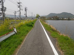 池の横の道