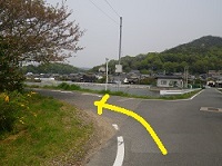 池の横の道