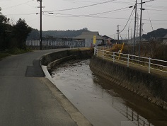 用之江川に沿う