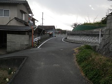 分岐