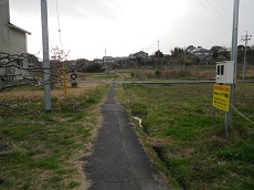 新池への道