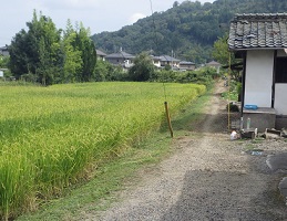 勝手踏切