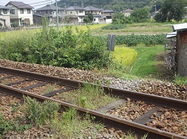 勝手踏切