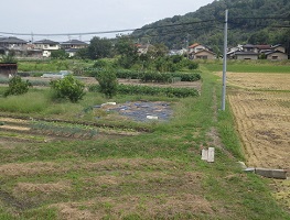 勝手踏切から東へ