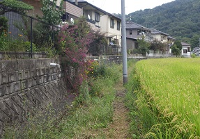 勝手踏切から東へ