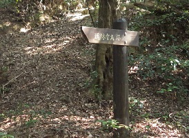 道林寺丸看板