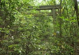 由加廃道の鳥居