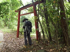 赤い鳥居