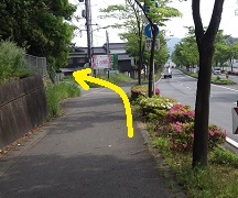 稗田八幡への道