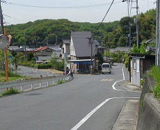 自転車道との分岐