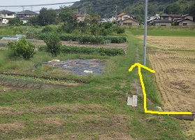 畦道（一方２）