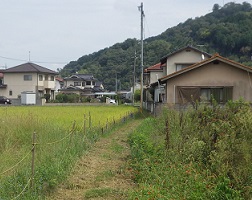 畦道（一方３）