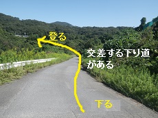 台場への道