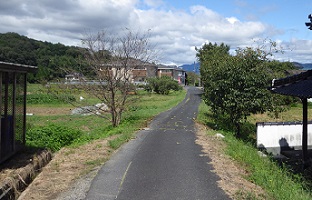 皿川分岐1