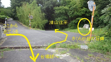 道－横井2