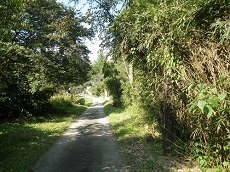 箕地峠への道