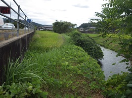 誕生寺川東岸