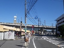 新幹線高架