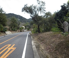 県道28号線