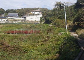 室谷山への道