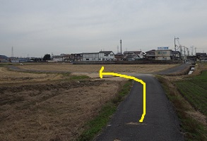 田んぼの中の道