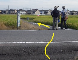 田んぼの中の道