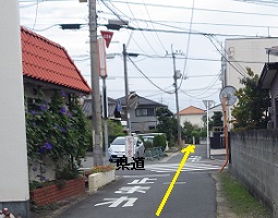 県道前の道