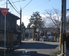 金比羅神社