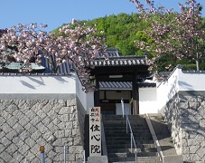 住心院