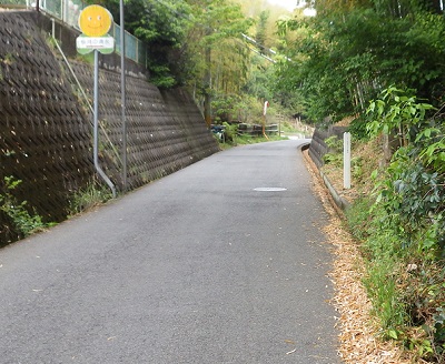 桜井の井戸に至る上り坂。左はコンクリートブロックの土留め。右は竹林。