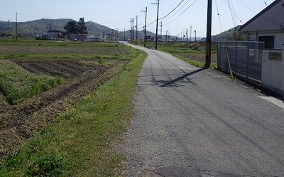 両側畑。右側に電柱が並ぶ道。