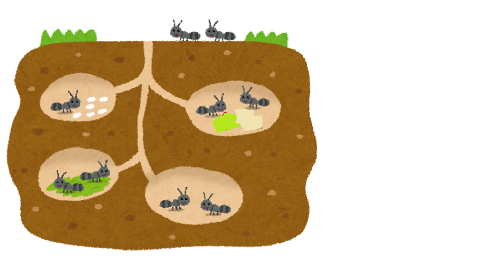 アリの巣