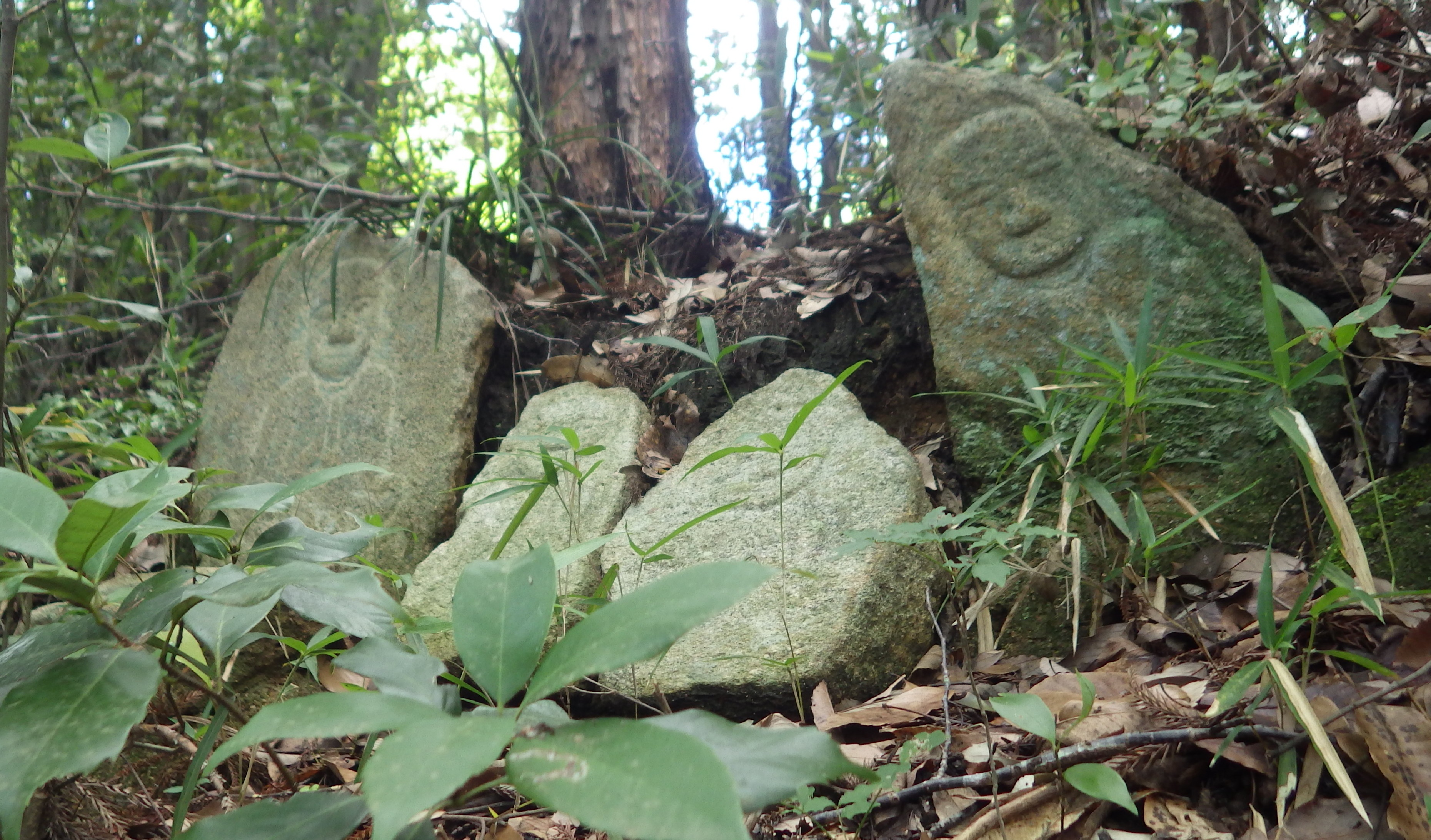 尾谷八幡宮参道脇石仏