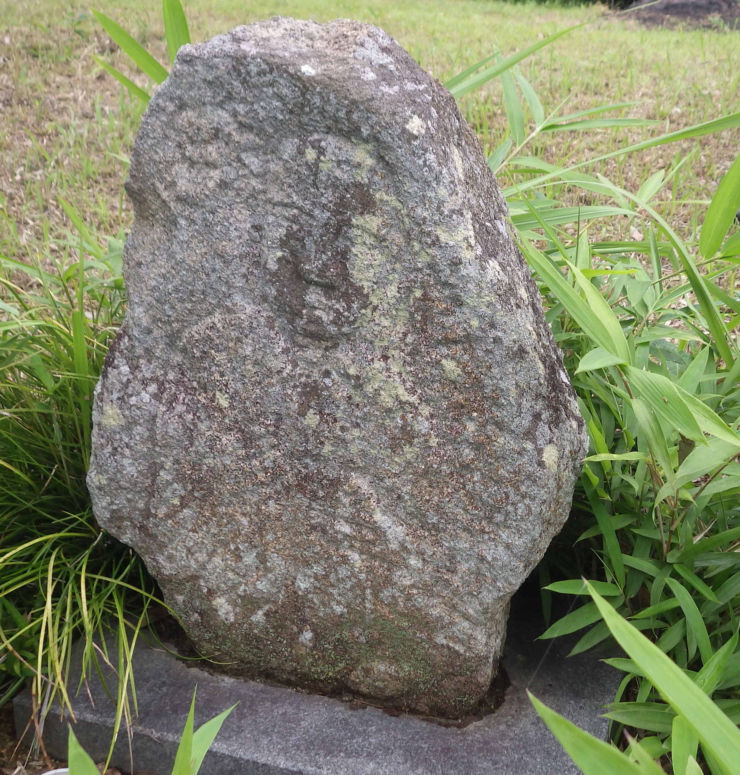 尾谷民潤池上